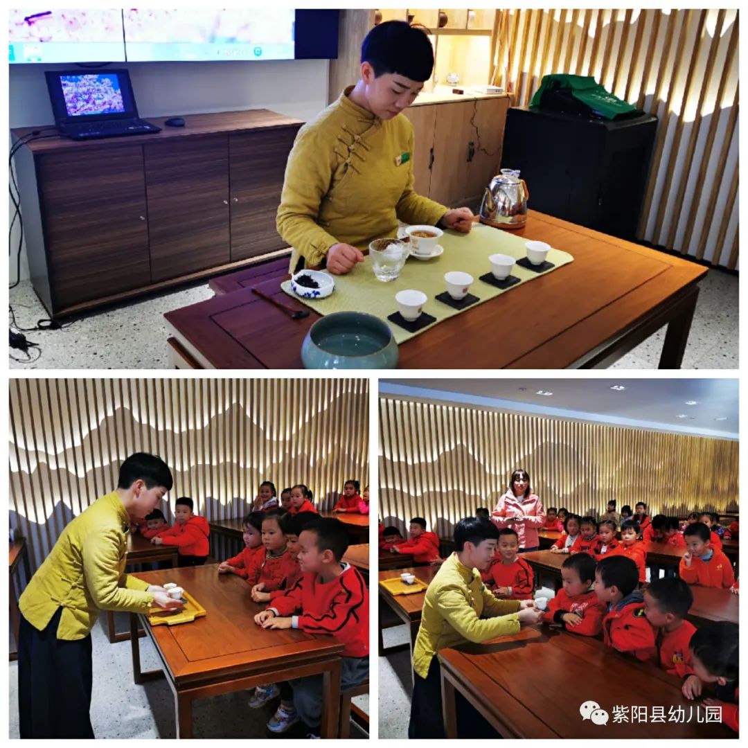 紫阳县富硒茶有哪几种(紫阳富硒茶茶树)-硒宝网