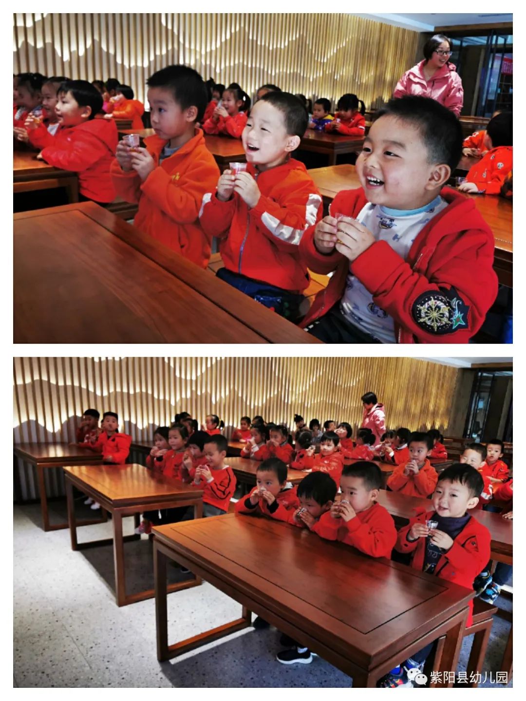 紫阳县富硒茶有哪几种(紫阳富硒茶茶树)-硒宝网