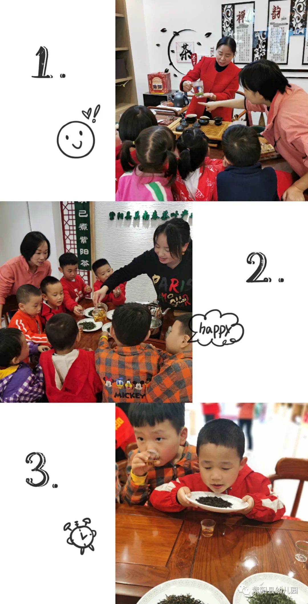 紫阳县富硒茶有哪几种(紫阳富硒茶茶树)-硒宝网