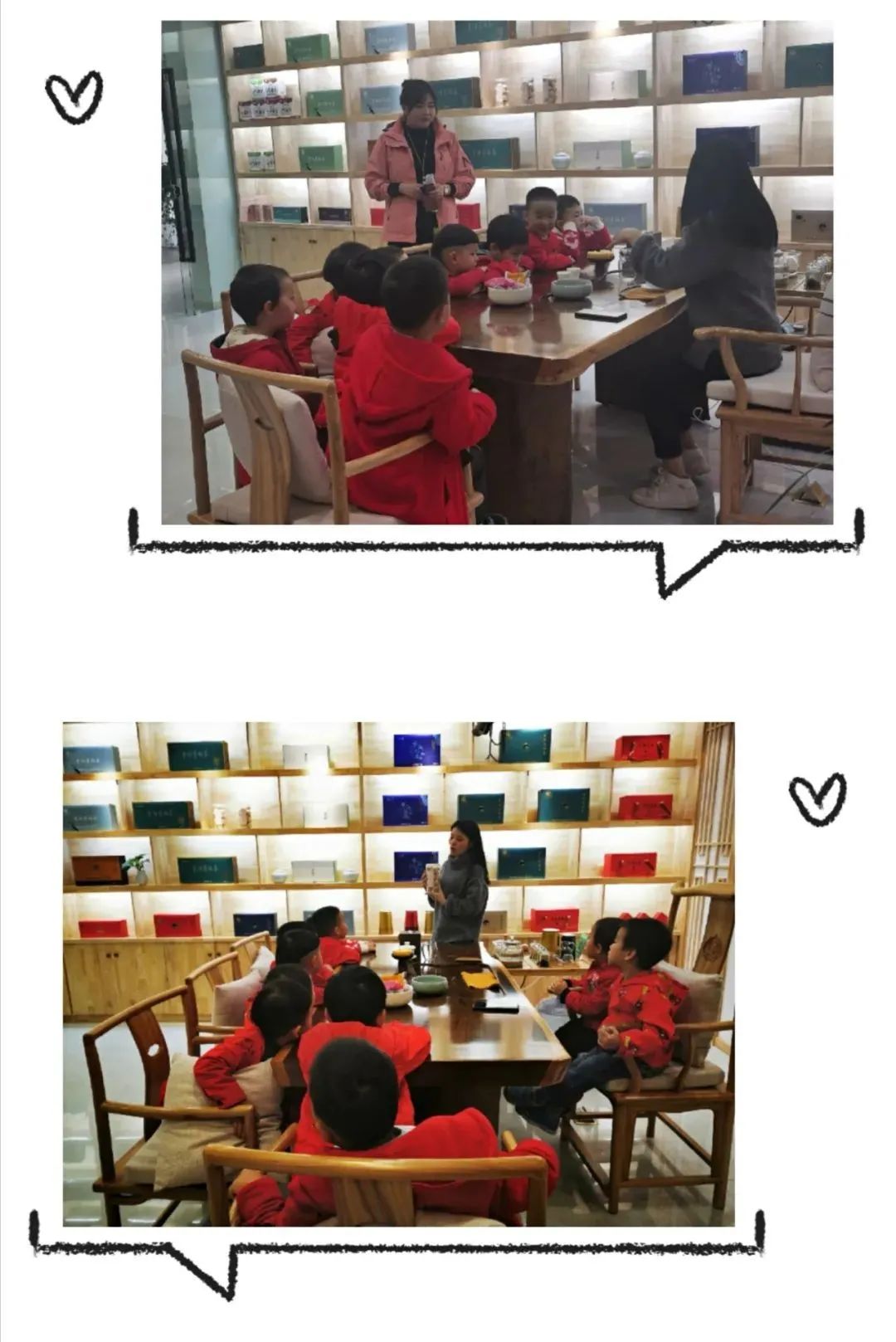 紫阳县富硒茶有哪几种(紫阳富硒茶茶树)-硒宝网