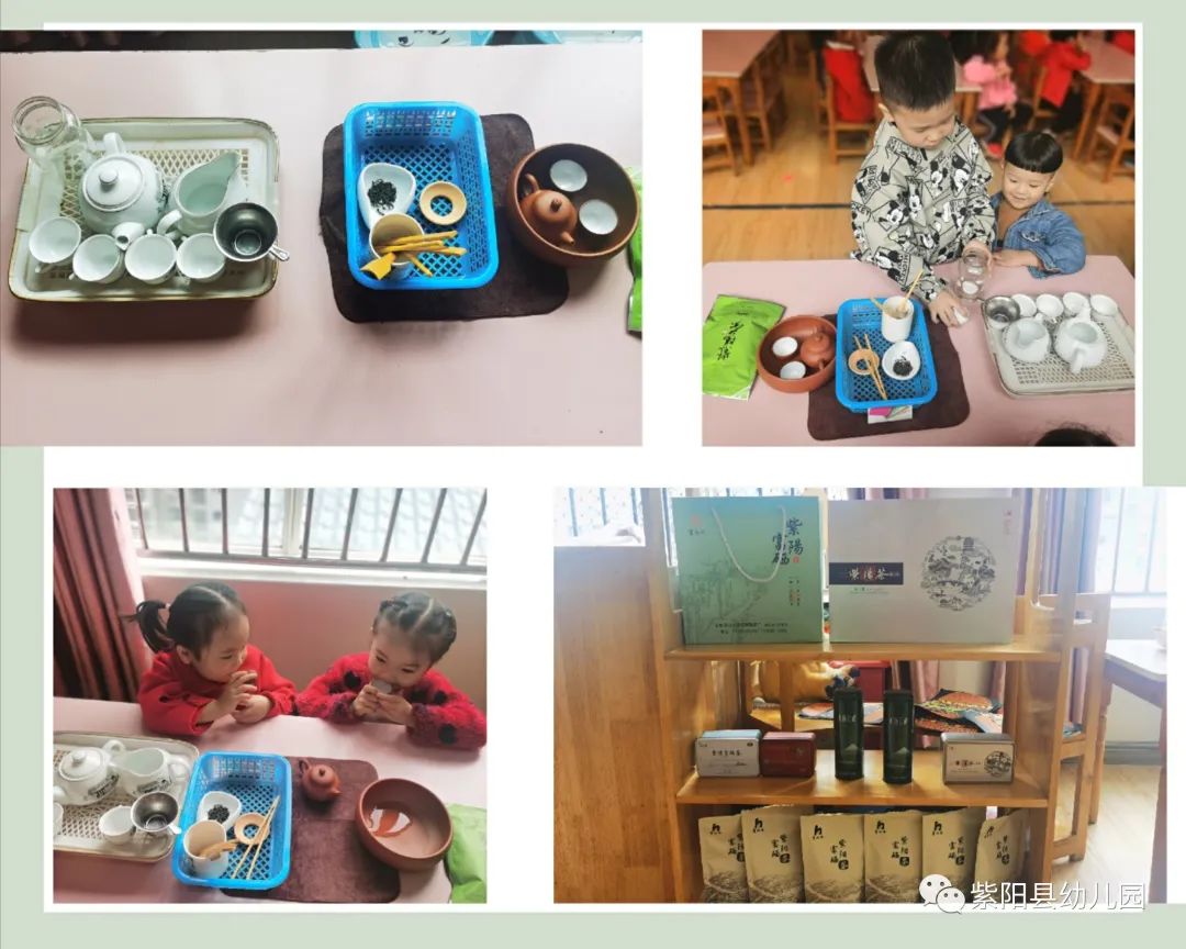 紫阳县富硒茶有哪几种(紫阳富硒茶茶树)-硒宝网