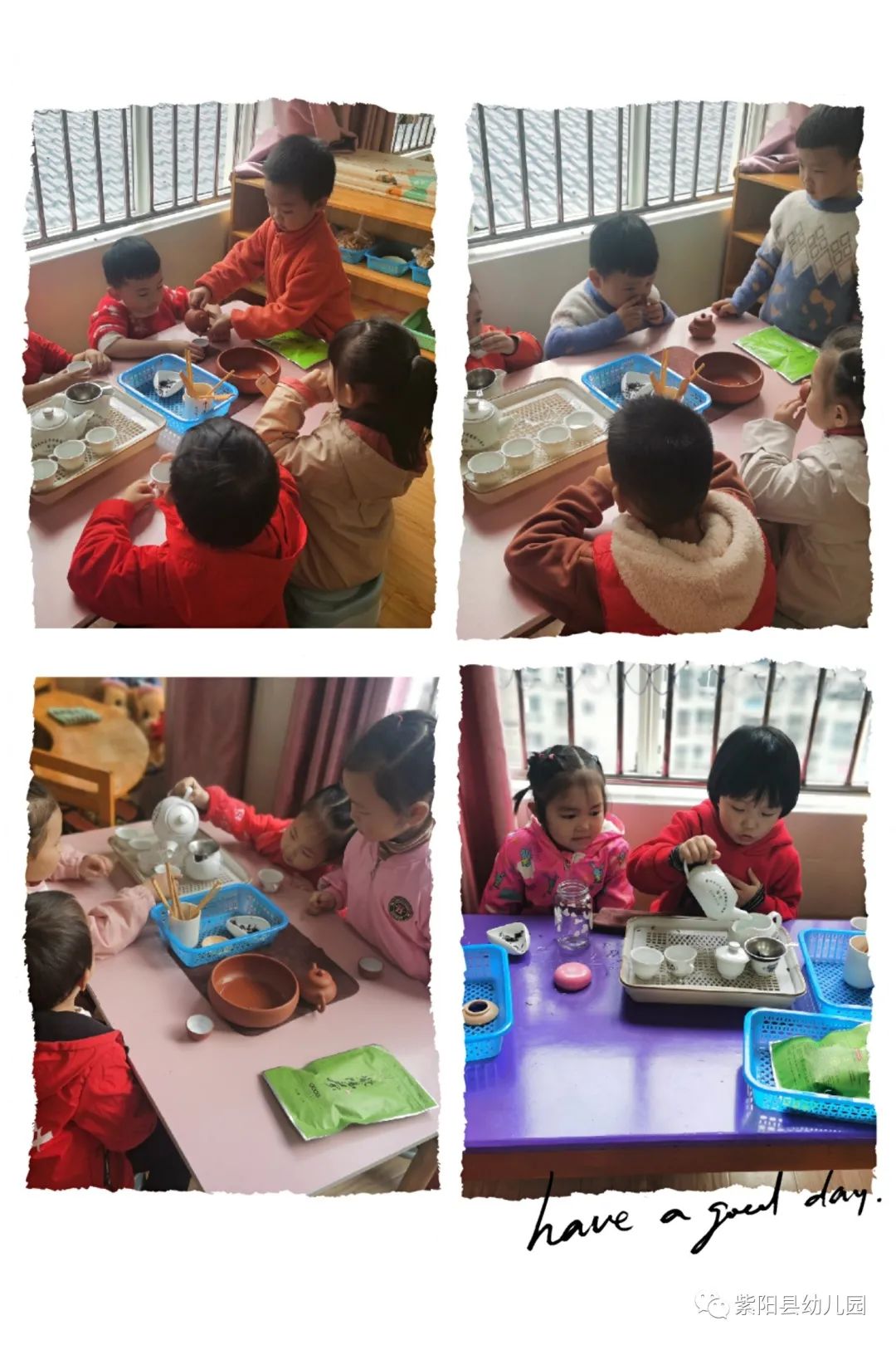 紫阳县富硒茶有哪几种(紫阳富硒茶茶树)-硒宝网