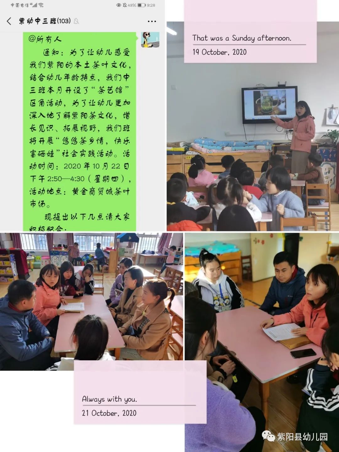 紫阳县富硒茶有哪几种(紫阳富硒茶茶树)-硒宝网