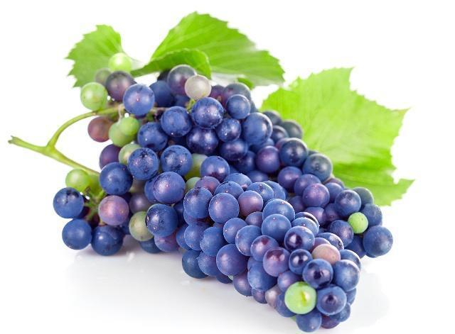 补铁的食物和水果蔬菜(蔬菜水果食物补铁的有哪些)-硒宝网