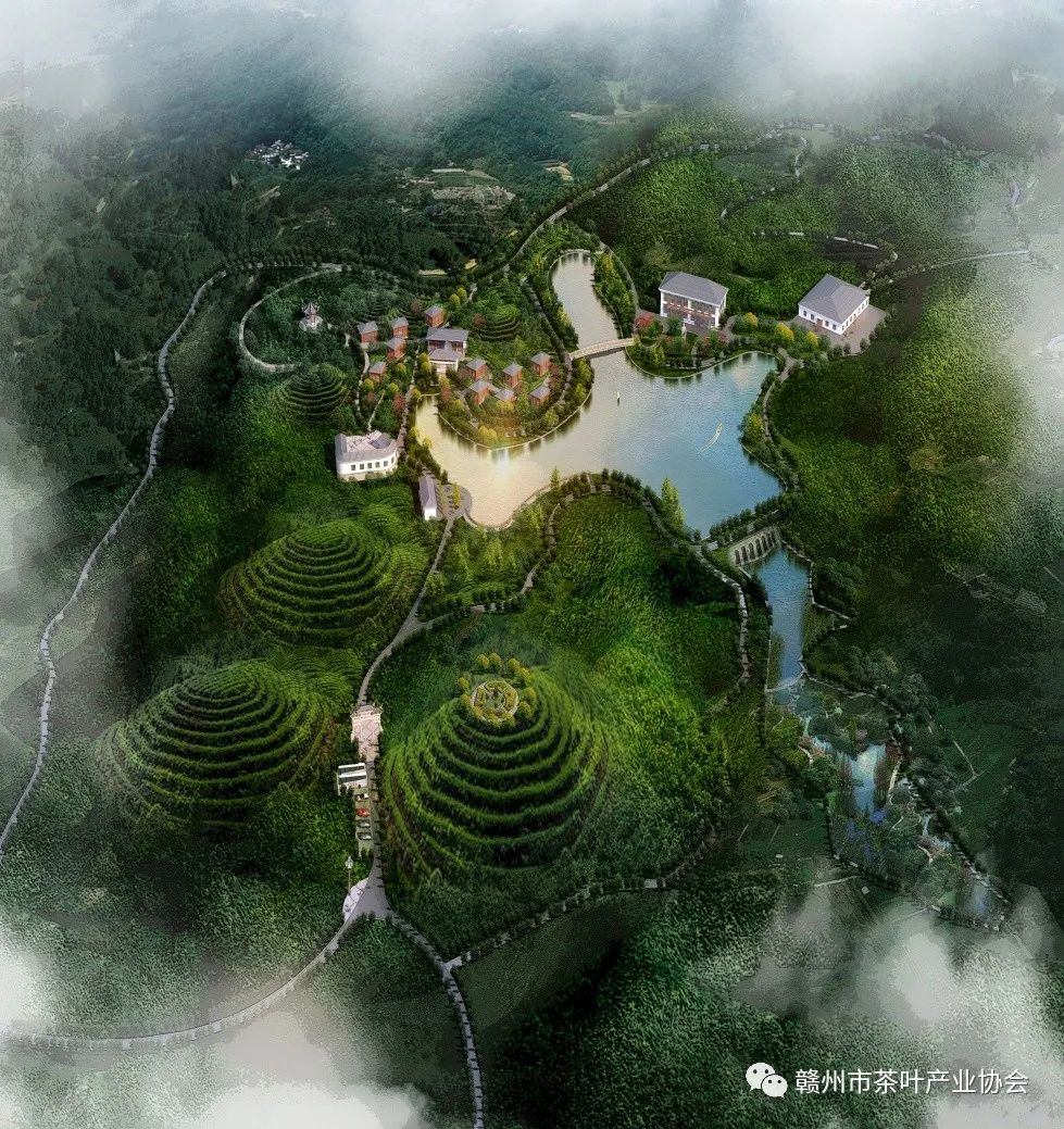 野生富硒茶多少钱一盒（野生富硒茶怎么卖）-硒宝网