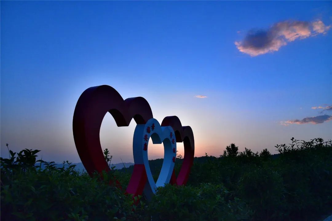 富硒茶富农家人民日报（富硒茶庄）-硒宝网