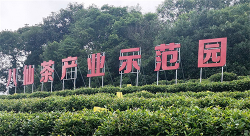 诏安富硒八仙茶有七元(诏安富硒八仙茶多少钱一斤)-硒宝网