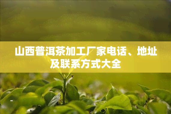 四川富硒普洱茶供应商(普洱原生富硒茶)-硒宝网