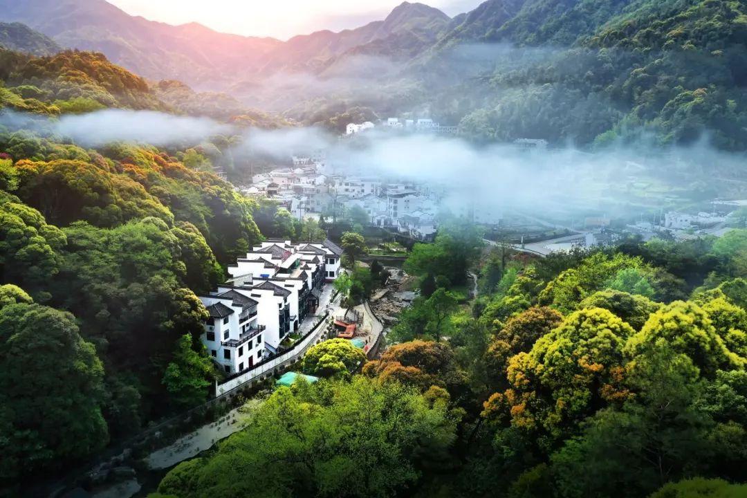 仙寓富硒茶多少钱一斤(富硒仙寓山)-硒宝网