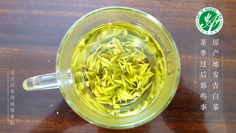 白河县有富硒茶吗一斤（富硒白茶产地）-硒宝网