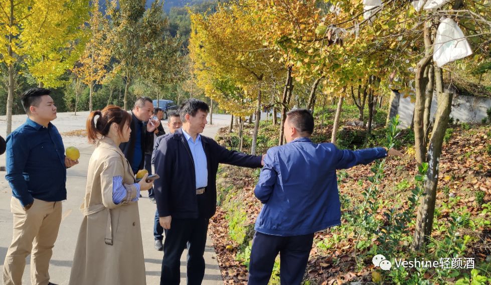 白河县有富硒茶吗一斤(富硒白茶多少钱一斤)-硒宝网