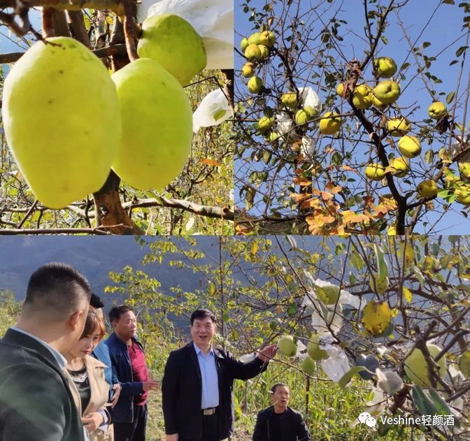 白河县有富硒茶吗一斤(富硒白茶多少钱一斤)-硒宝网