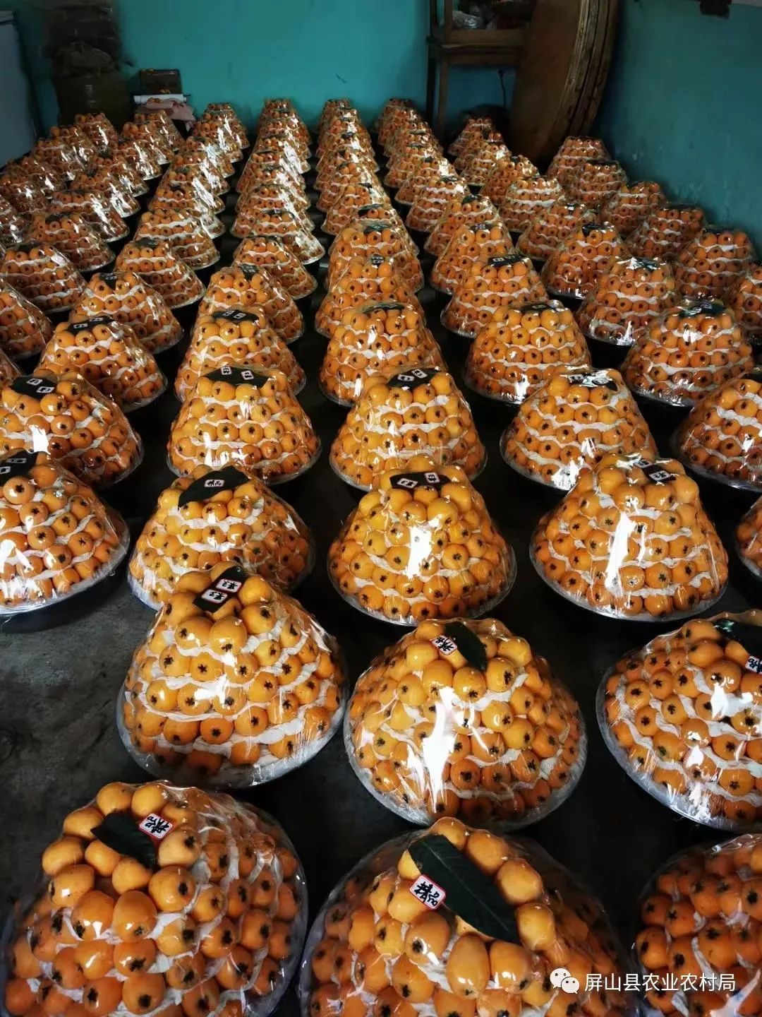 富硒茶贡芽多少钱一斤（富硒贡芽茶怎么样）-硒宝网