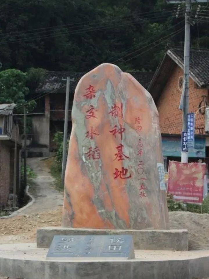 邵阳有机富硒大米发展（湖南富硒大米）-硒宝网