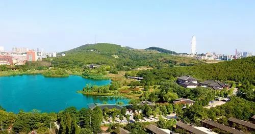 青岛有机富硒大米动态(富硒大米价格)-硒宝网