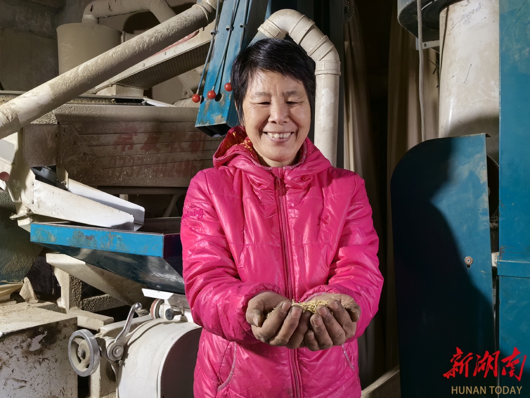 湖南有机富硒大米种植(富硒大米生产技术)-硒宝网