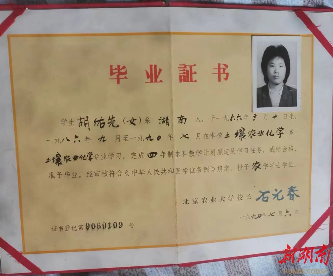 湖南有机富硒大米种植(富硒大米生产技术)-硒宝网