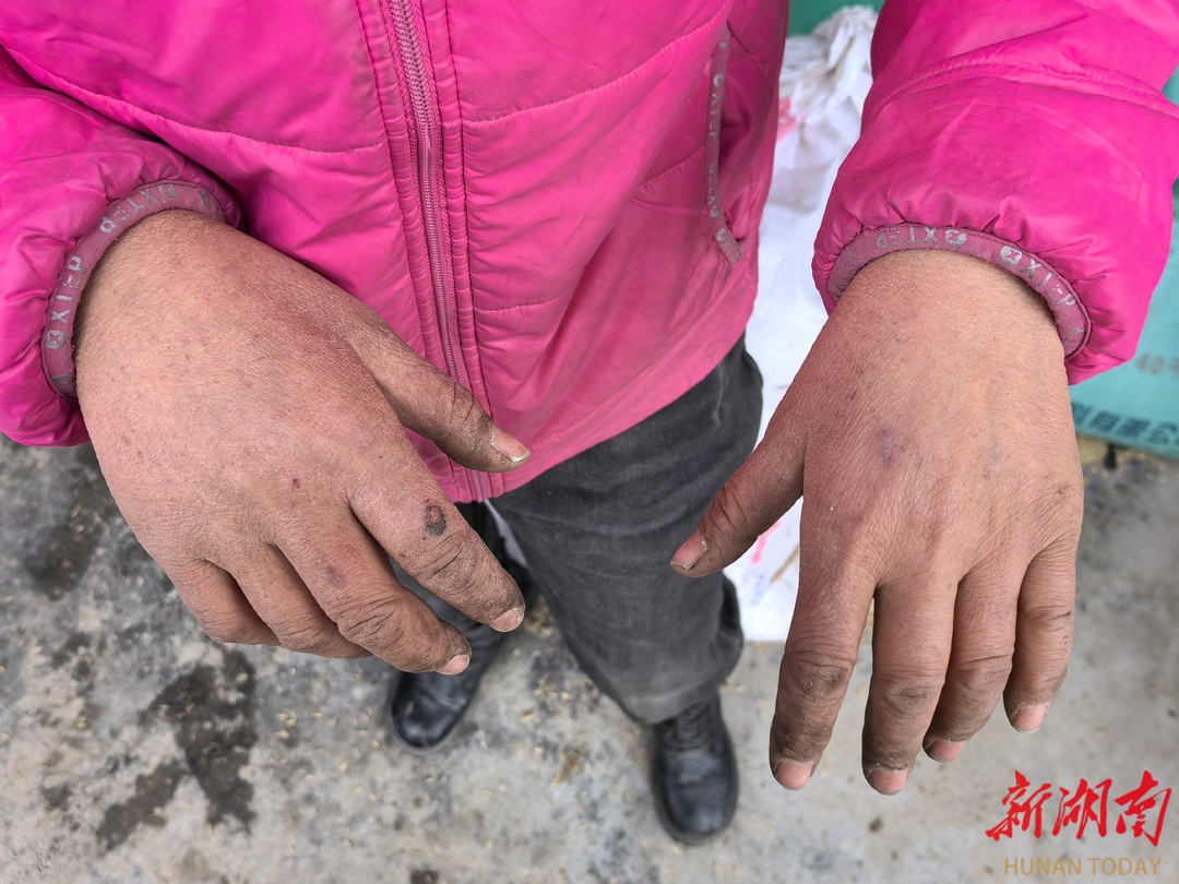 湖南有机富硒大米种植(富硒大米生产技术)-硒宝网