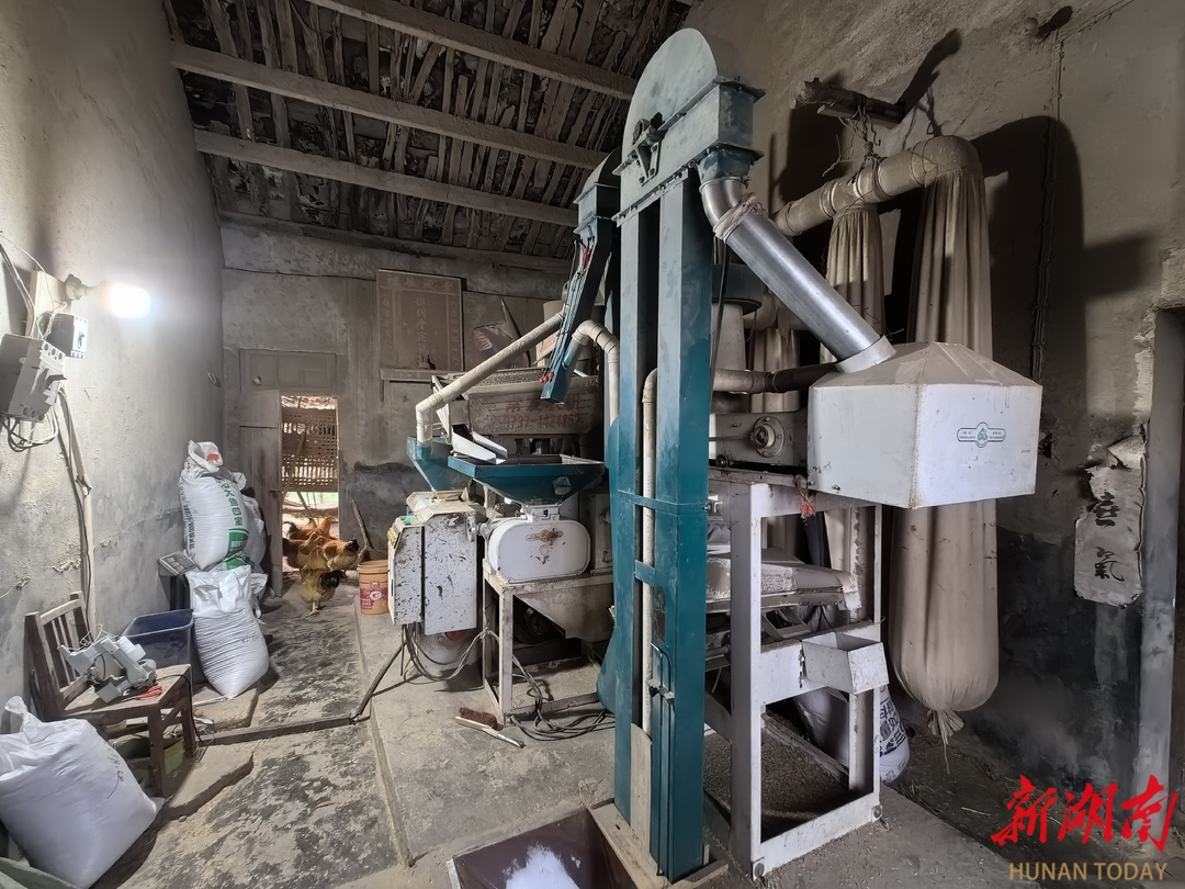 湖南有机富硒大米种植(富硒大米生产技术)-硒宝网