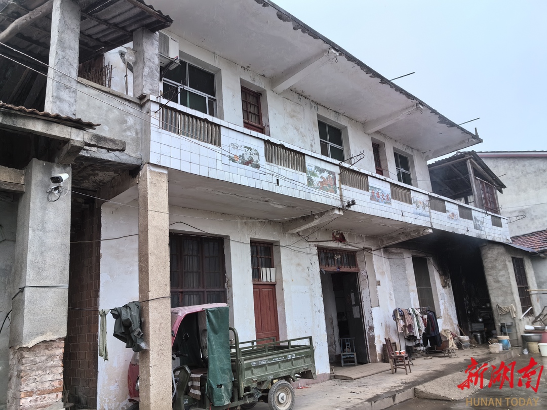 湖南有机富硒大米种植(富硒大米生产技术)-硒宝网