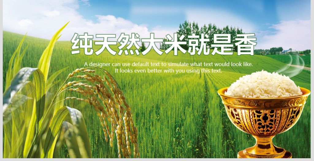 长沙有机富硒大米储存(富硒大米市场分析)-硒宝网