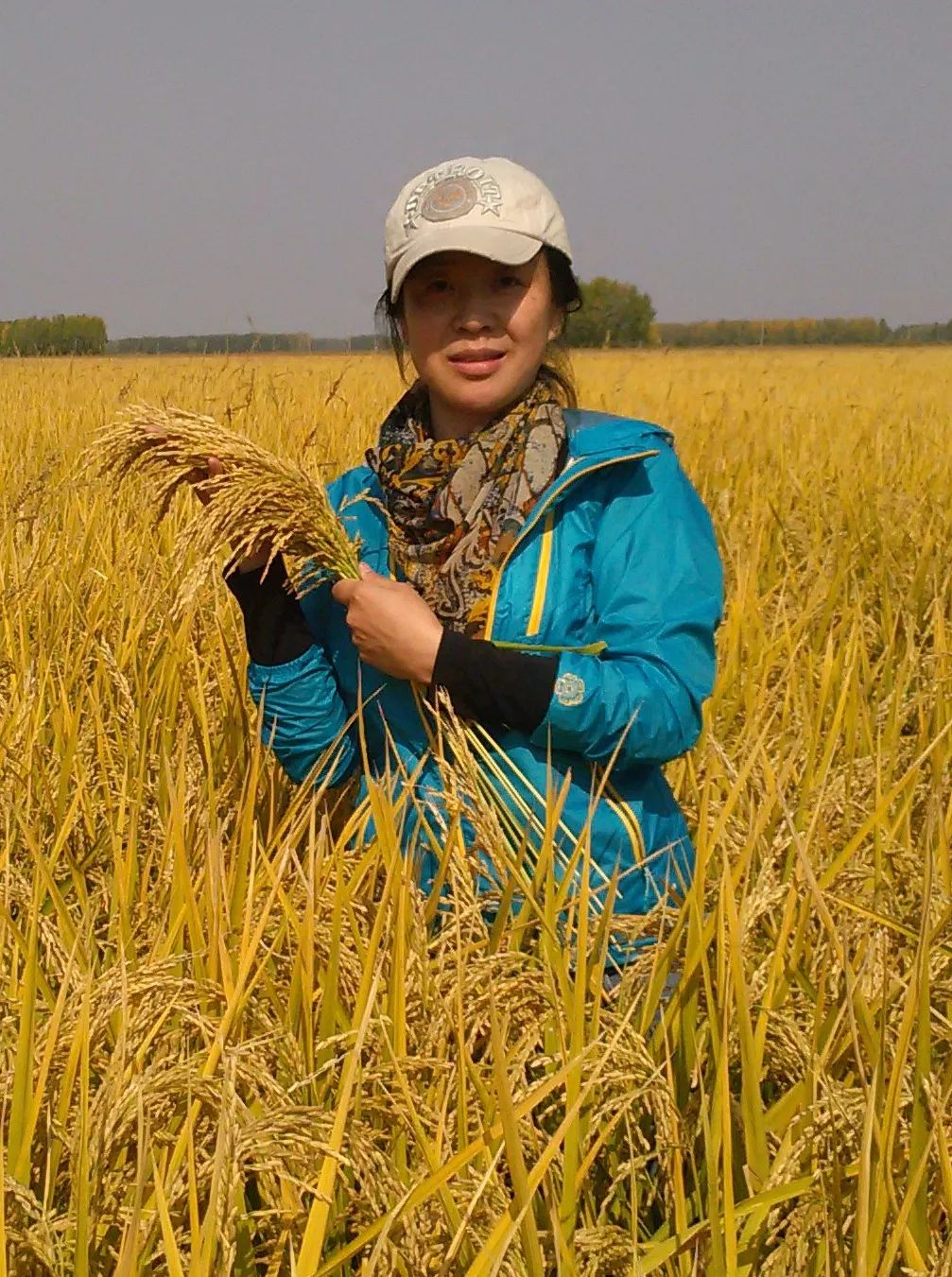 富锦有机富硒大米好吗（富硒大米好还是有机大米好）-硒宝网