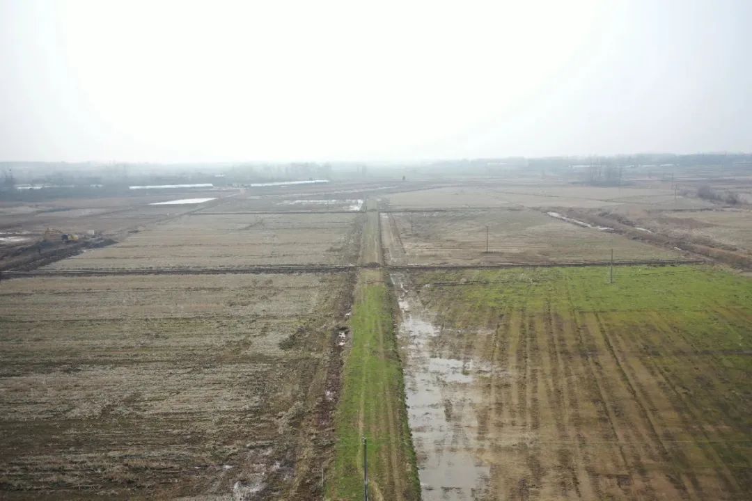 富锦有机富硒大米好吗（富硒大米好在哪）-硒宝网