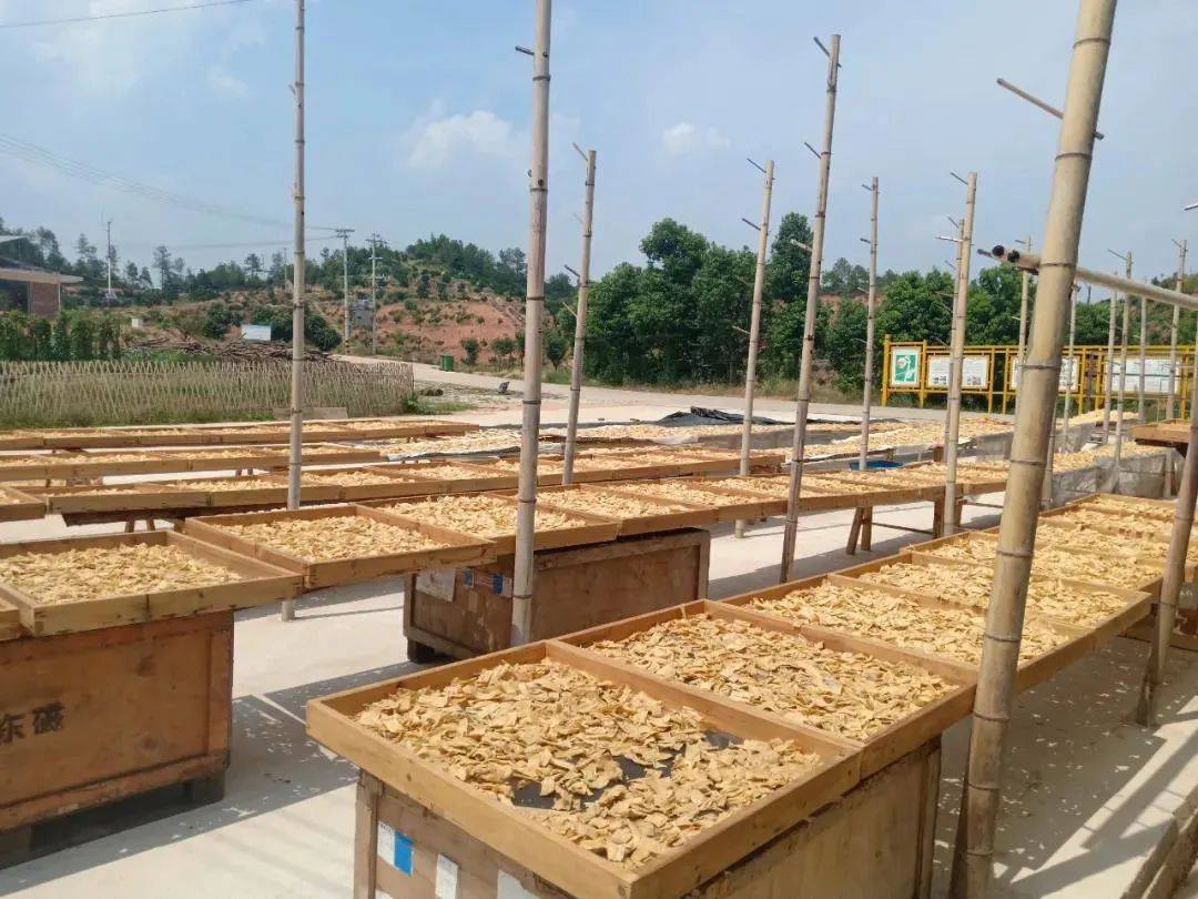 富硒大米示范基地建设(大米产业园)-硒宝网