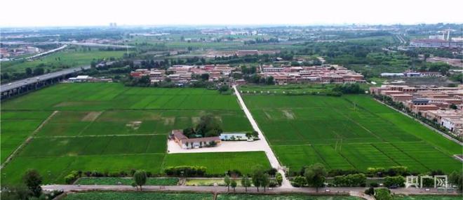 富硒土地大米在那购买（富硒大米产量）-硒宝网