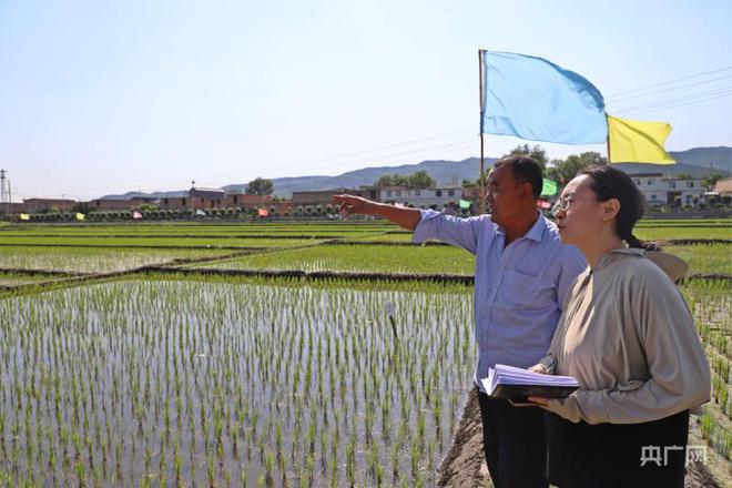 富硒土地大米在那购买（富硒大米产量）-硒宝网