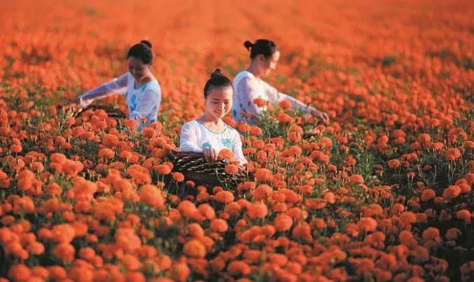 图木舒克有机富硒大米（大米姐富硒米）-硒宝网