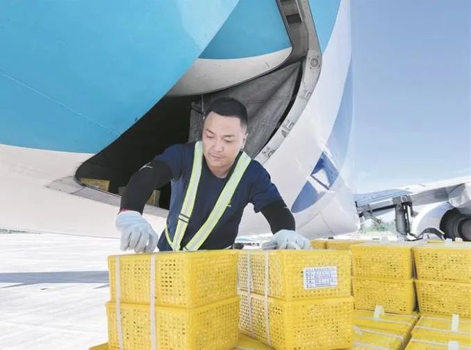 图木舒克有机富硒大米（大米姐富硒米）-硒宝网