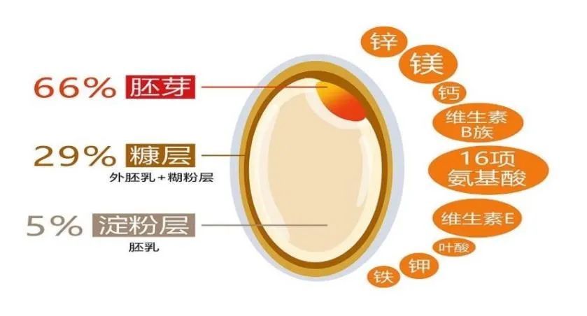 孕期能不能吃富硒大米(孕妇可以吃含硒大米嘛)-硒宝网