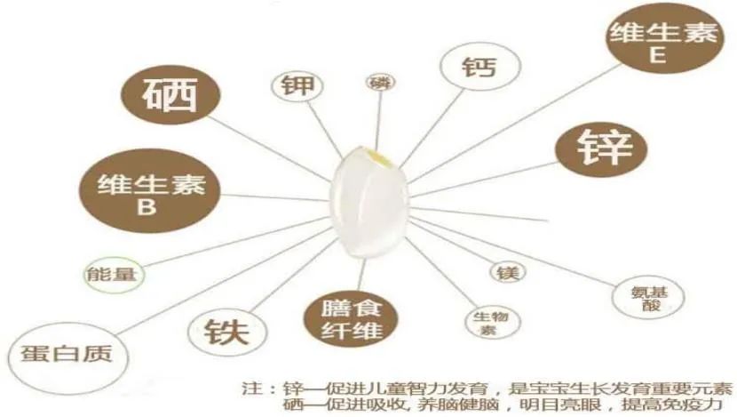 孕期能不能吃富硒大米(孕妇可以吃含硒大米嘛)-硒宝网