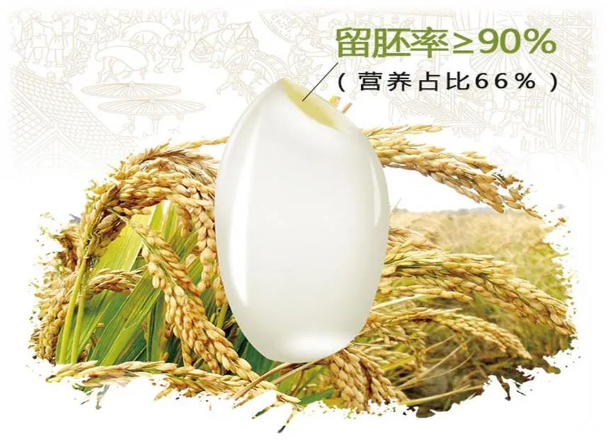 孕期能不能吃富硒大米(孕妇可以吃含硒大米嘛)-硒宝网