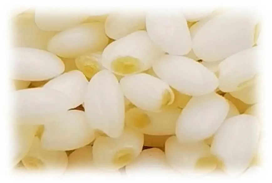 孕期能不能吃富硒大米(孕妇可以吃含硒大米嘛)-硒宝网