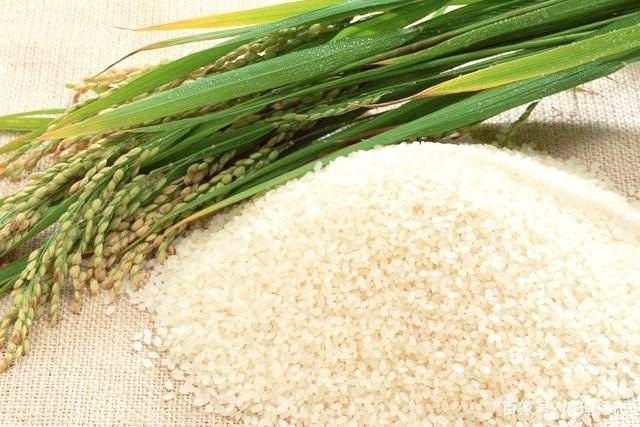 盘锦市富硒大米在哪产(富锦富硒大米)-硒宝网