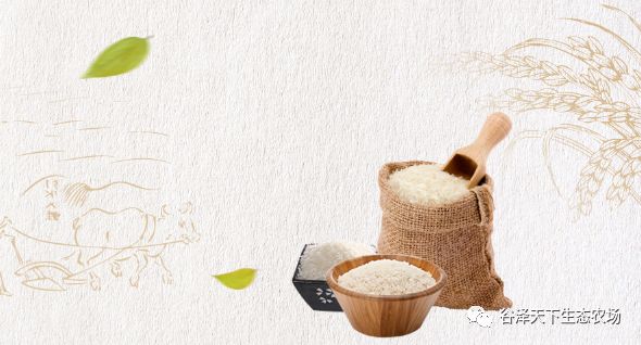 富硒原生态长粒香大米(富硒优质大米)-硒宝网