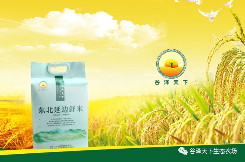 富硒原生态长粒香大米(富硒优质大米)-硒宝网