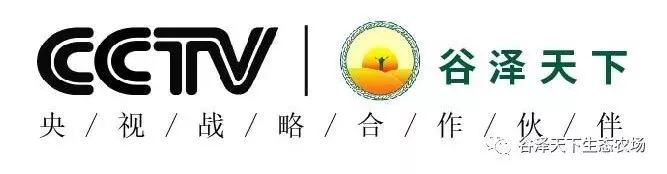 富硒原生态长粒香大米(富硒优质大米)-硒宝网