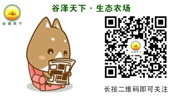 富硒原生态长粒香大米(富硒优质大米)-硒宝网