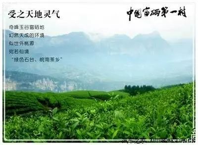 中国科技大学富硒大米（科大硒粮是合法公司吗）-硒宝网