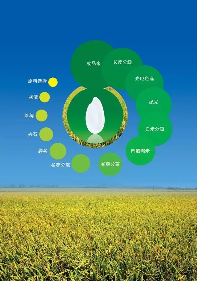 中国科技大学富硒大米（科大硒粮是合法公司吗）-硒宝网