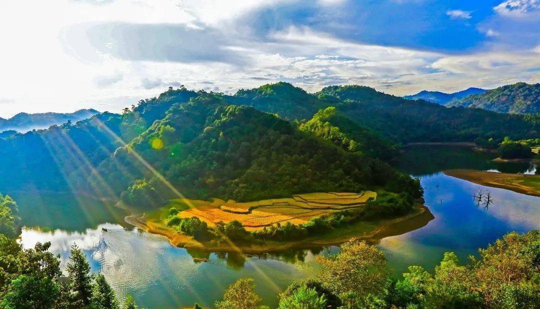 福建省明溪县富硒大米（寿宁富硒大米）-硒宝网