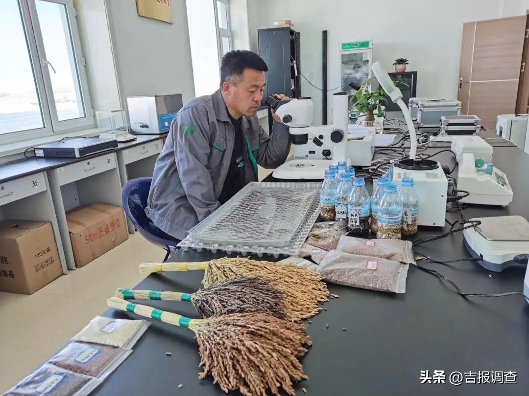 长春市九台区富硒大米（珲春富硒大米）-硒宝网