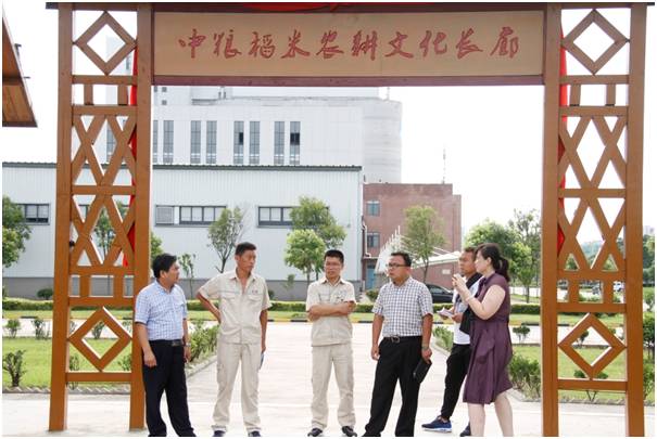 湖北富硒大米富硒含量(富硒大米湖北含量多少)-硒宝网