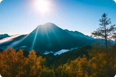 富硒大米富含硒的食物(大米富含食物富硒硒含量)-硒宝网
