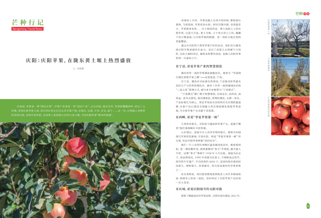 安吉 富硒大米 故事（富硒优质大米）-硒宝网