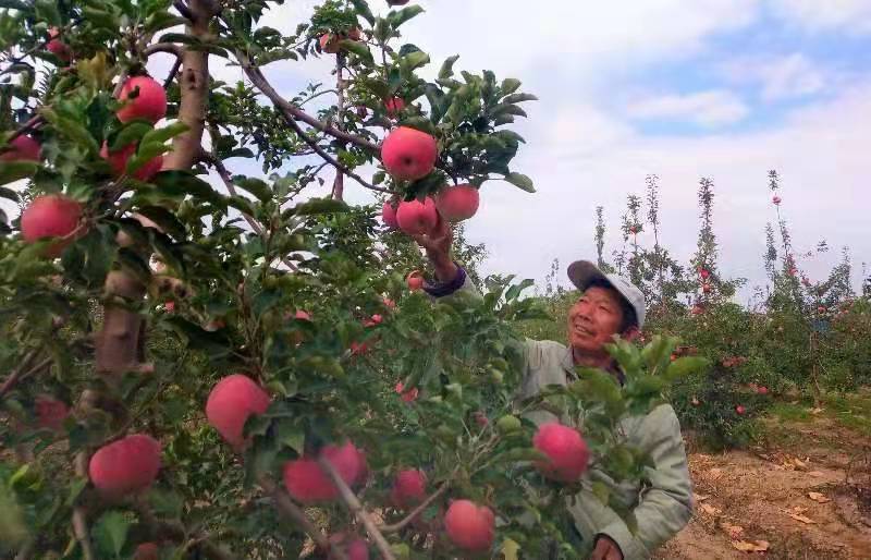 宁夏 富硒大米 企业（宁夏大米加工企业）-硒宝网
