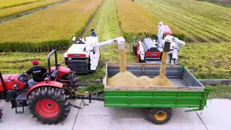 宁夏 富硒大米 企业（宁夏大米加工企业）-硒宝网